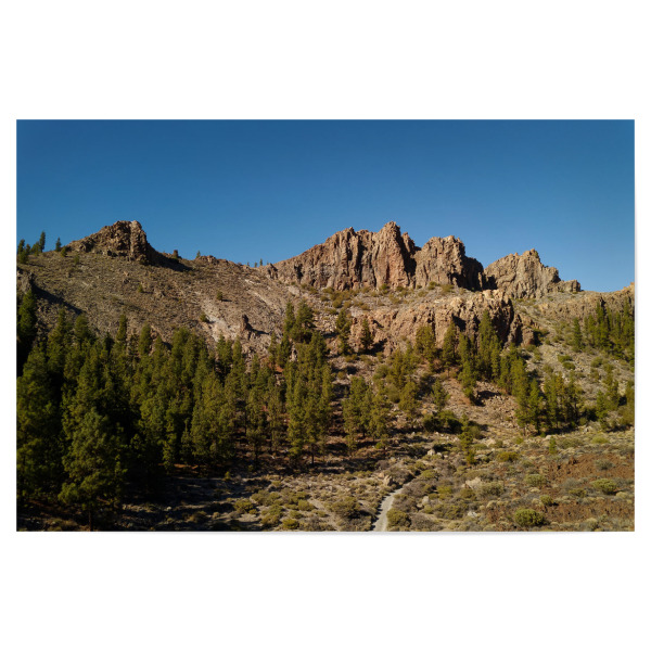 Poster 30x20 cm "Baumgrenze" artboxONE - Natur - Gebirge,Berg,Bergkamm,Baum,Bäume,Baumgrenze,Natur,Landschaft,Mountains,Trees,Felsen
