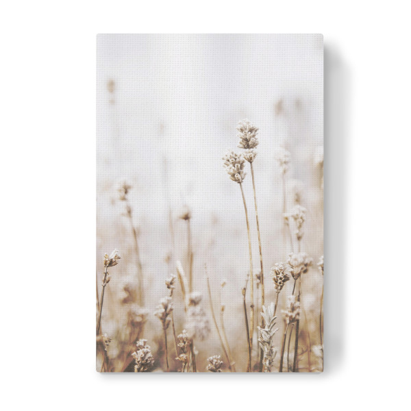 Leinwandbild "Dried Grass" artboxONE - Natur,Floral - Plant,Botanical,Floral,Minimalist,Pampas,Gras,Pflanzen,Leaves,Boho