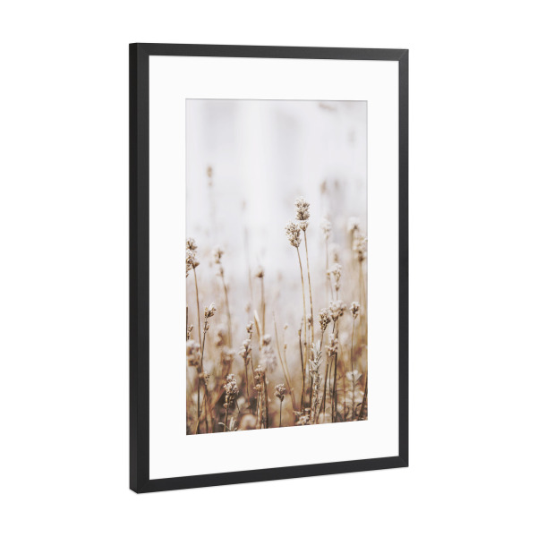 Poster mit Rahmen Schwarz (Metallic) "Dried Grass" artboxONE - Natur,Floral - Plant,Botanical,Floral,Minimalist,Pampas,Gras,Pflanzen,Leaves,Boho