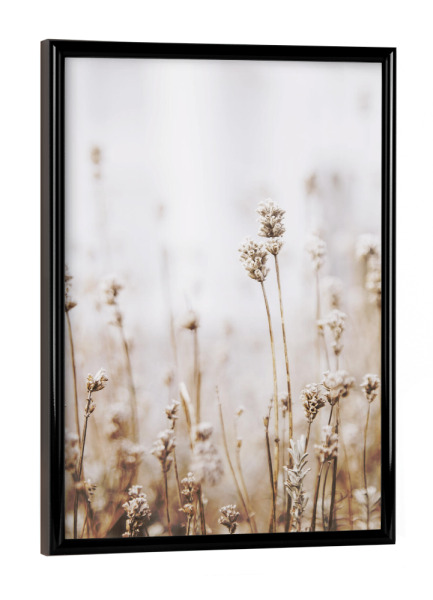 Poster mit schwarzem Rahmen "Dried Grass" artboxONE - Natur,Floral - Plant,Botanical,Floral,Minimalist,Pampas,Gras,Pflanzen,Leaves,Boho