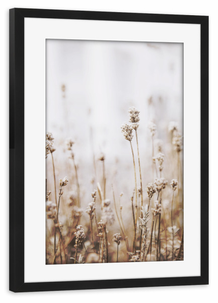 Poster mit Rahmen schwarz "Dried Grass" artboxONE - Natur,Floral - Plant,Botanical,Floral,Minimalist,Pampas,Gras,Pflanzen,Leaves,Boho