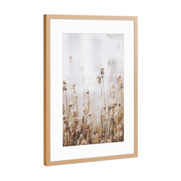 Poster mit Rahmen Kupfer "Dried Grass" artboxONE - Natur,Floral - Plant,Botanical,Floral,Minimalist,Pampas,Gras,Pflanzen,Leaves,Boho