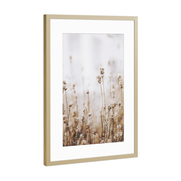 Poster mit Rahmen Gold "Dried Grass" artboxONE - Natur,Floral - Plant,Botanical,Floral,Minimalist,Pampas,Gras,Pflanzen,Leaves,Boho