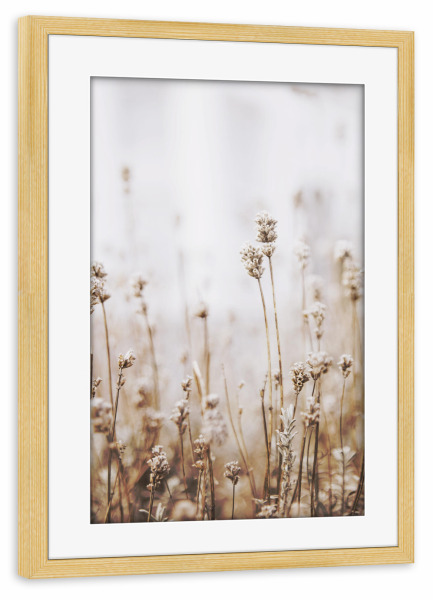 Poster mit Rahmen kiefer "Dried Grass" artboxONE - Natur,Floral - Plant,Botanical,Floral,Minimalist,Pampas,Gras,Pflanzen,Leaves,Boho