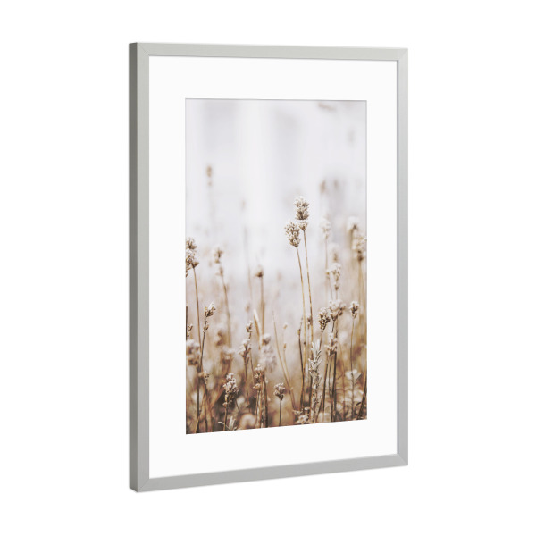 Poster mit Rahmen Silber "Dried Grass" artboxONE - Natur,Floral - Plant,Botanical,Floral,Minimalist,Pampas,Gras,Pflanzen,Leaves,Boho
