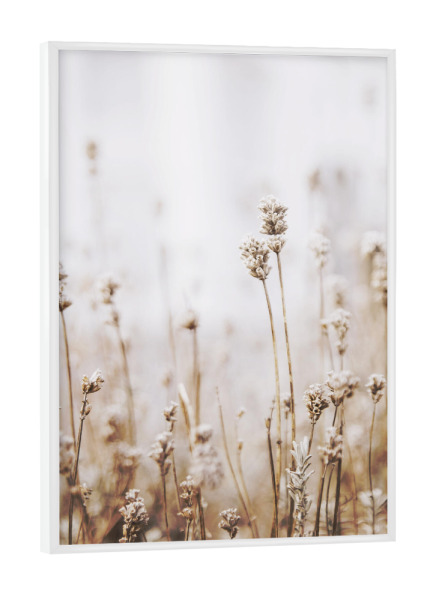 Poster mit weißem Rahmen "Dried Grass" artboxONE - Natur,Floral - Plant,Botanical,Floral,Minimalist,Pampas,Gras,Pflanzen,Leaves,Boho