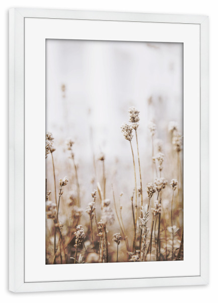 Poster mit Rahmen weiß "Dried Grass" artboxONE - Natur,Floral - Plant,Botanical,Floral,Minimalist,Pampas,Gras,Pflanzen,Leaves,Boho