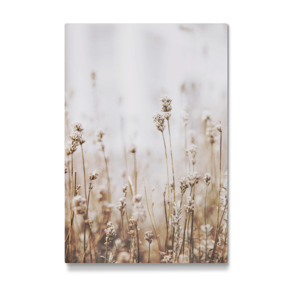 Galerie-Print "Dried Grass" 30x20 cm artboxONE