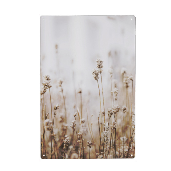 Metall Poster "Dried Grass" artboxONE - Natur,Floral - Plant,Botanical,Floral,Minimalist,Pampas,Gras,Pflanzen,Leaves,Boho - Blechschild