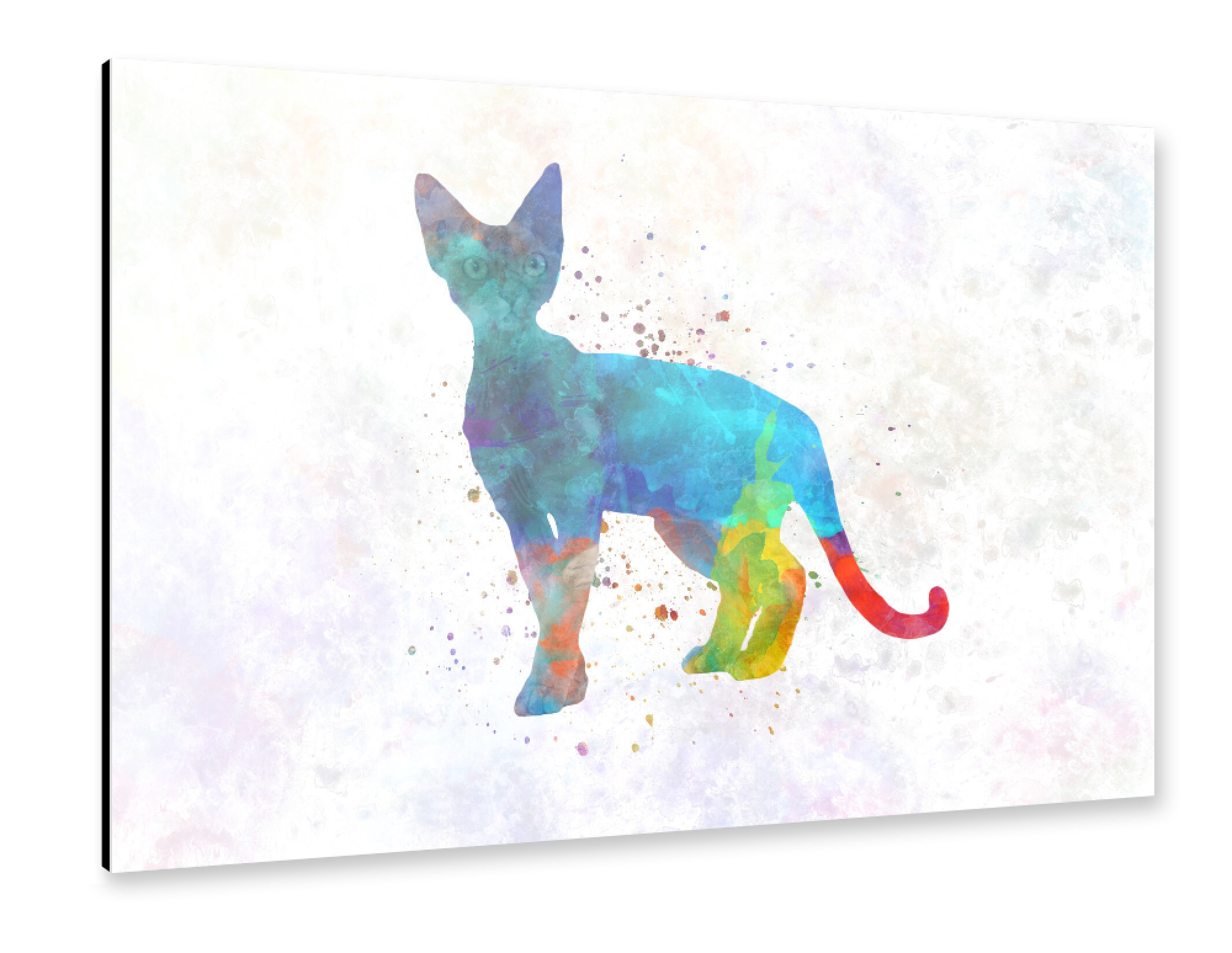 Alu-Dibond "Devon rex in watercolor" 75x50 cm artboxONE