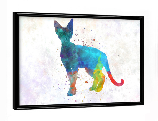 Poster mit schwarzem Rahmen "Devon rex in watercolor" artboxONE - Tiere,Abstrakt