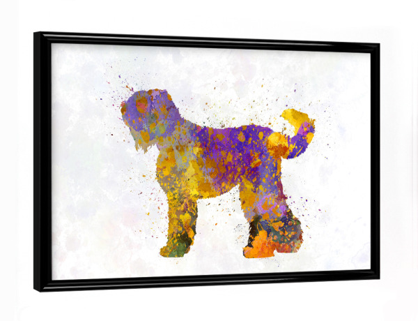 Poster mit schwarzem Rahmen "Russian Black Terrier dog" artboxONE - Tiere,Abstrakt