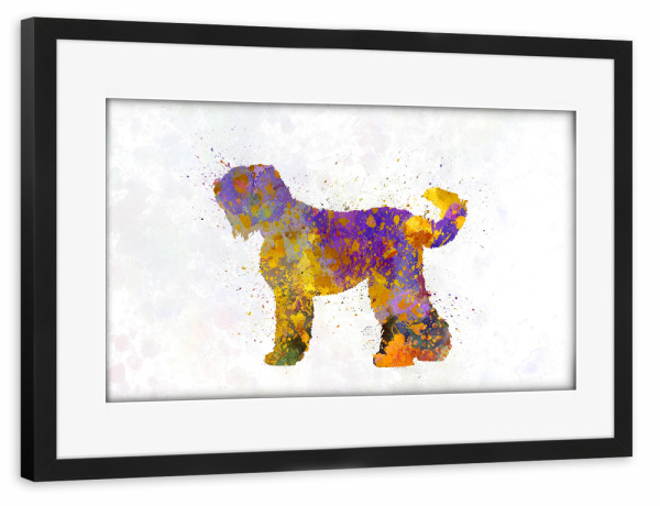 Poster mit Rahmen schwarz "Russian Black Terrier dog" artboxONE - Tiere,Abstrakt