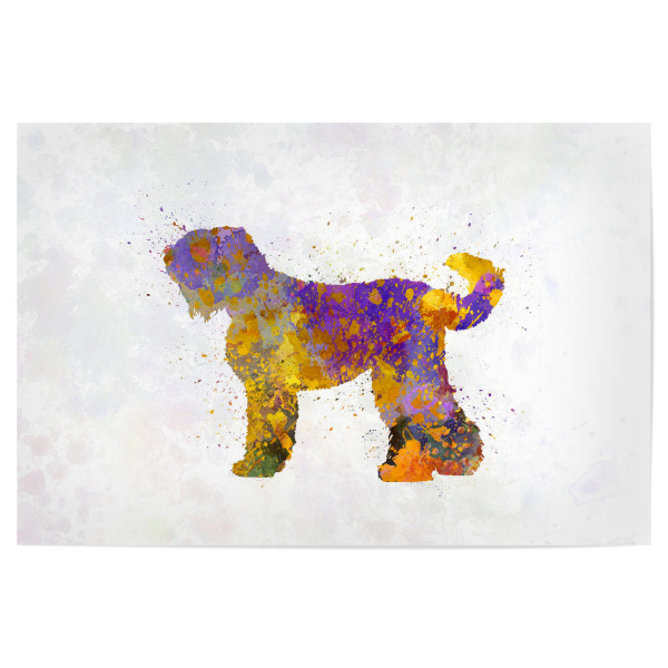 Poster "Russian Black Terrier dog" artboxONE - Tiere,Abstrakt - Dog,Pet,Animal,Mammal,Watercolor,Dog poster,Illustration,Abstract,Hund,Bunt,Colorful