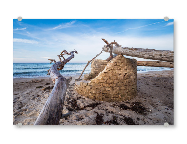 Acrylglasbild "Baumstämme, Strand, Meer" artboxONE - Natur,Reise,Reise / Strand und Meer