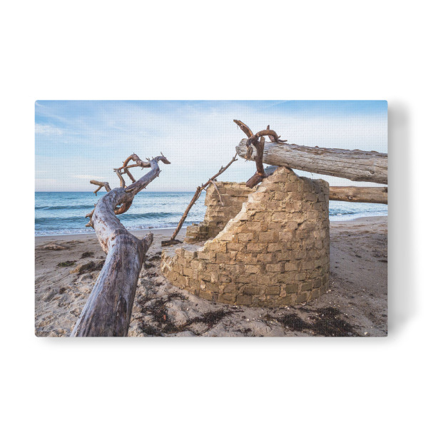 Leinwandbild "Baumstämme, Strand, Meer" artboxONE - Natur,Reise,Reise / Strand und Meer