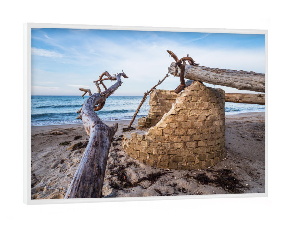 Poster mit weißem Rahmen "Baumstämme, Strand, Meer" artboxONE - Natur,Reise,Reise / Strand und Meer