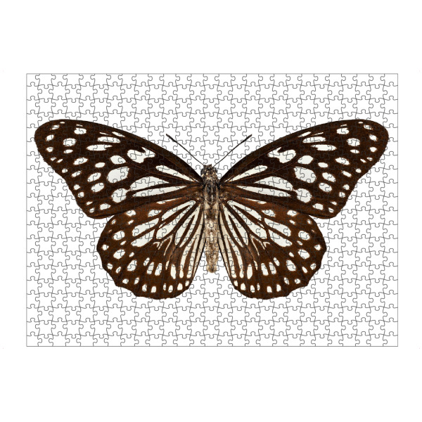artboxONE Puzzle "Butterfly species Tirumala" artboxONE - Natur,Tiere