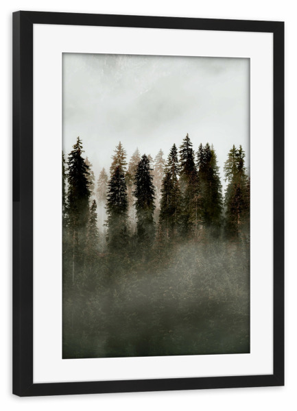 Poster mit Rahmen schwarz "DEEP GREEN FOREST" artboxONE - Natur,Reise,Abstrakt - Green,Pine forest,Landscape,Plant,Nature,Wald,Forest,Natur,Landschaft