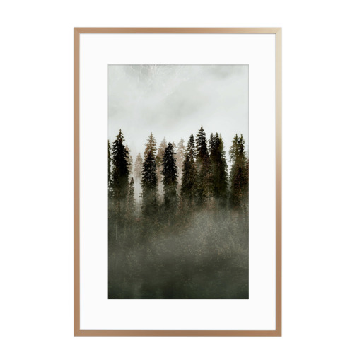 DEEP GREEN FOREST