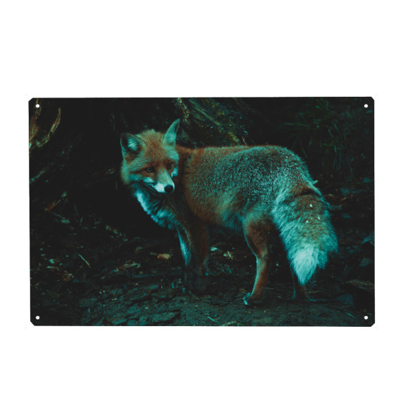 Holzbild "Fuchs und sein Bau" artboxONE - Natur,Tiere