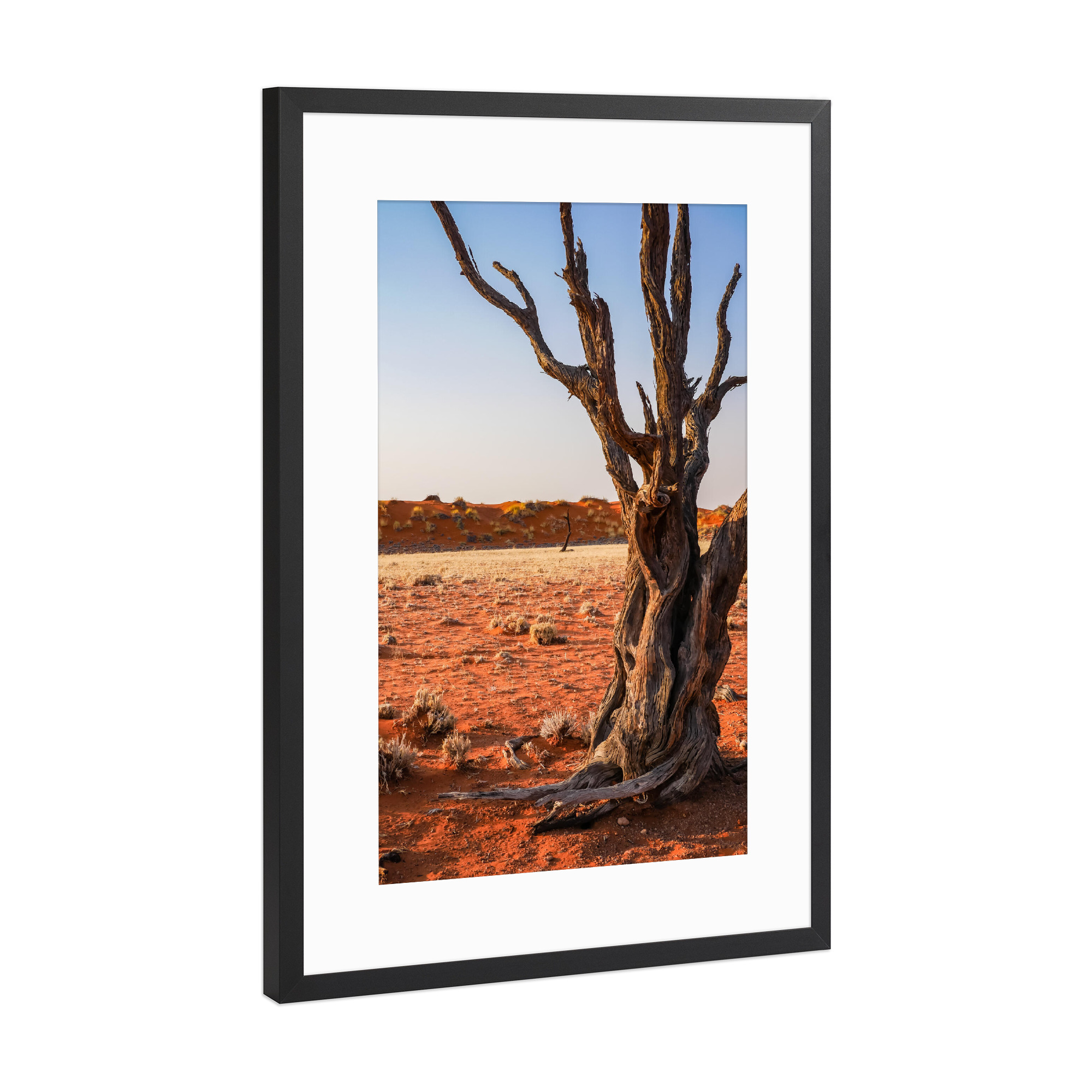 Poster mit Rahmen Schwarz (Metallic) "Dead Wood in the Desert" artboxONE - Natur,Reise / Afrika - Baum,Tod,Wüste,Namibia,Sand,Holz