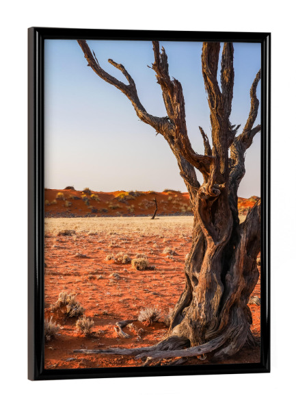 Poster mit schwarzem Rahmen "Dead Wood in the Desert" artboxONE - Natur,Reise / Afrika - Baum,Tod,Wüste,Namibia,Sand,Holz