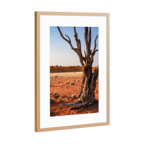 Poster mit Rahmen Kupfer "Dead Wood in the Desert" artboxONE - Natur,Reise / Afrika - Baum,Tod,Wüste,Namibia,Sand,Holz