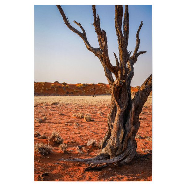 Poster 30x20 cm "Dead Wood in the Desert" artboxONE - Natur,Reise / Afrika - Baum,Tod,Wüste,Namibia,Sand,Holz