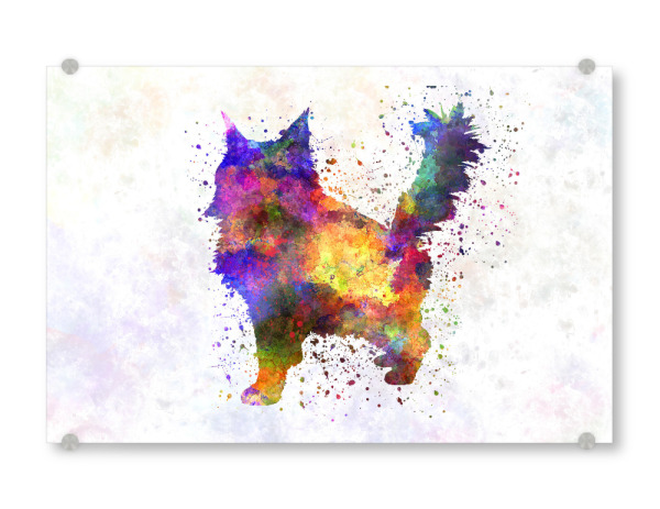 Acrylglasbild "Maine coon cat in watercolor" artboxONE - Tiere,Abstrakt