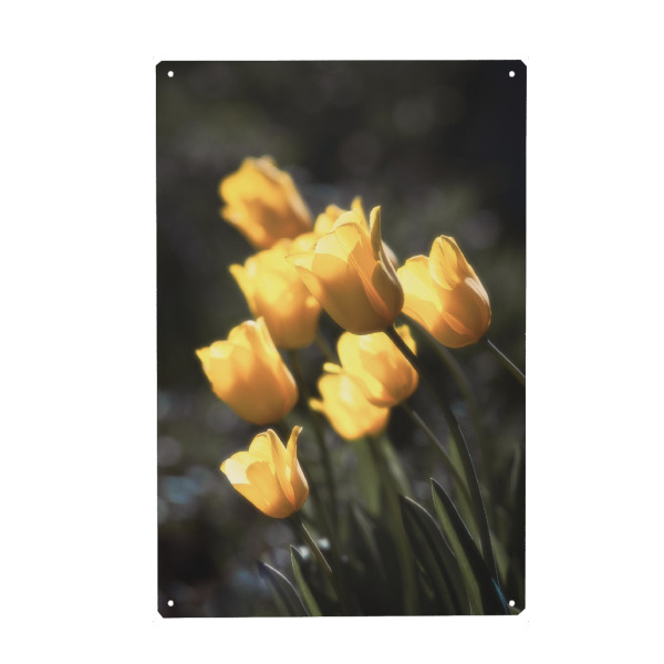 Holzbild "Frühlings Erwachen" artboxONE - Natur,Floral