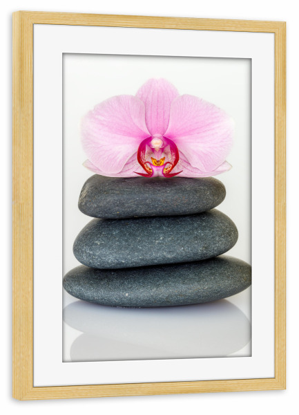 Poster mit Rahmen kiefer "Orchidee auf 3 Steinen" artboxONE - Natur,Floral