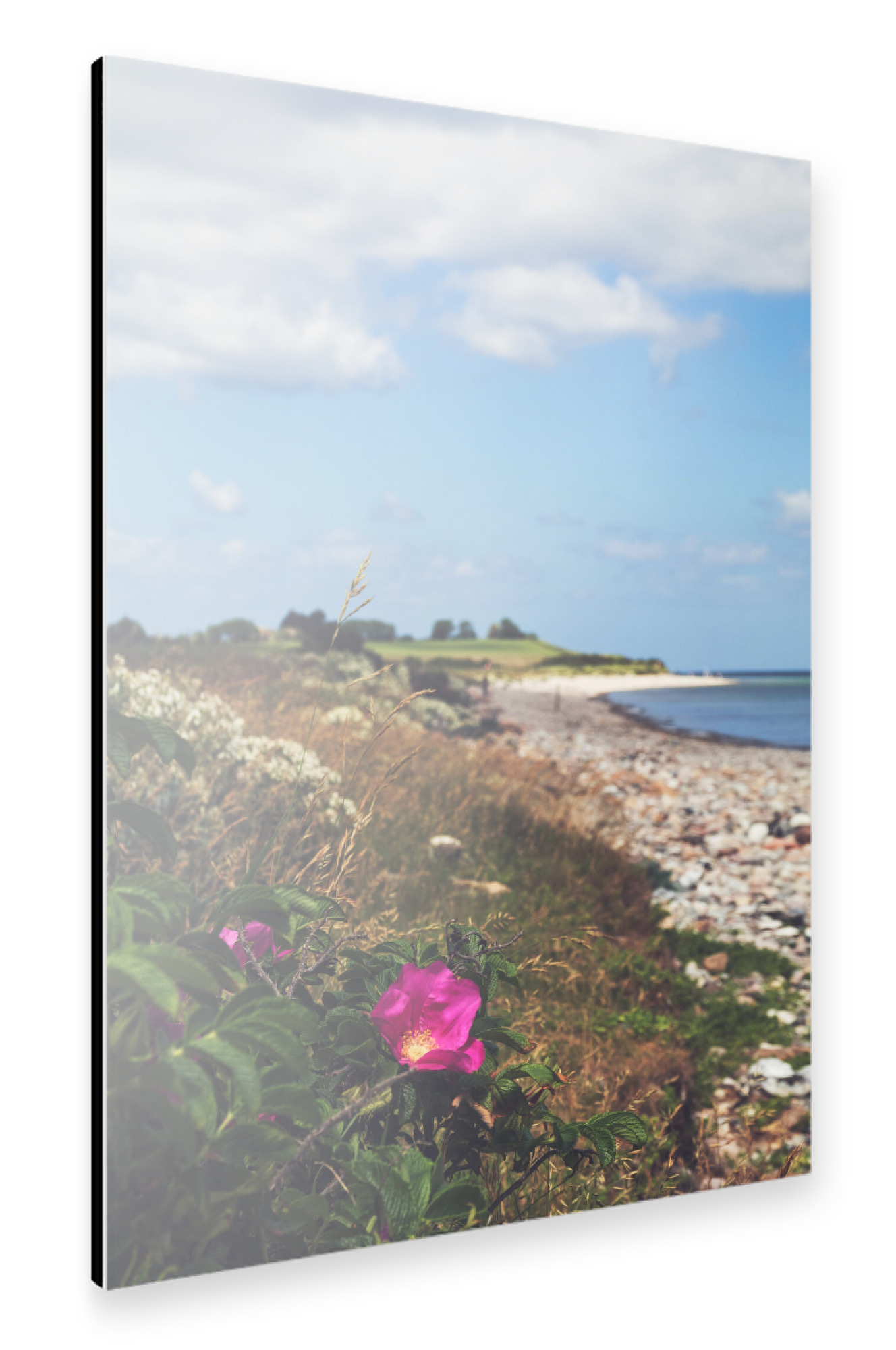 Alu-Dibond "Postcard from the Baltic Sea" 75x50 cm artboxONE