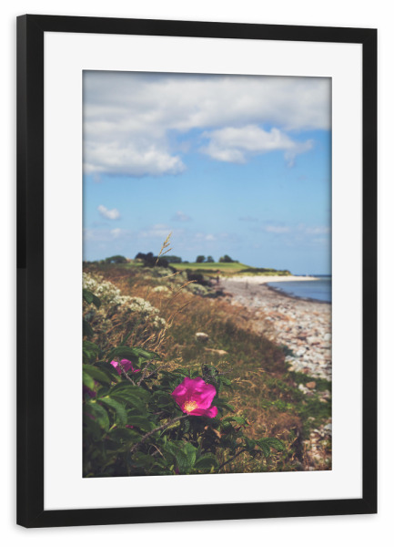 Poster mit Rahmen schwarz "Postcard from the Baltic Sea" artboxONE - Natur,Reise,Floral,Reise / Strand und Meer