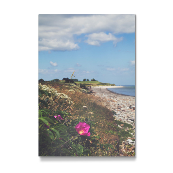 Galerie-Print "Postcard from the Baltic Sea" 30x20 cm artboxONE