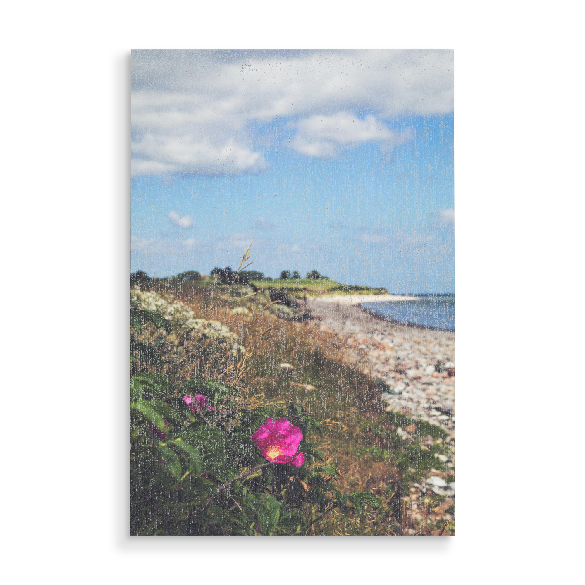 Holzbild "Postcard from the Baltic Sea" artboxONE - Natur,Reise,Floral,Reise / Strand und Meer
