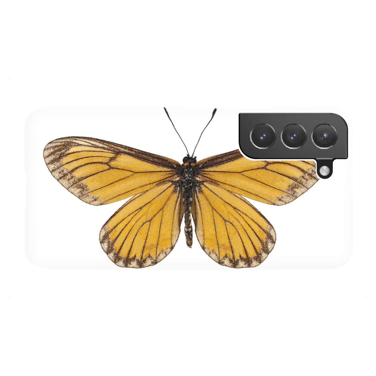 Samsung Galaxy "Butterfly species Acraea issoria" Premium-Case Handyhülle artboxONE