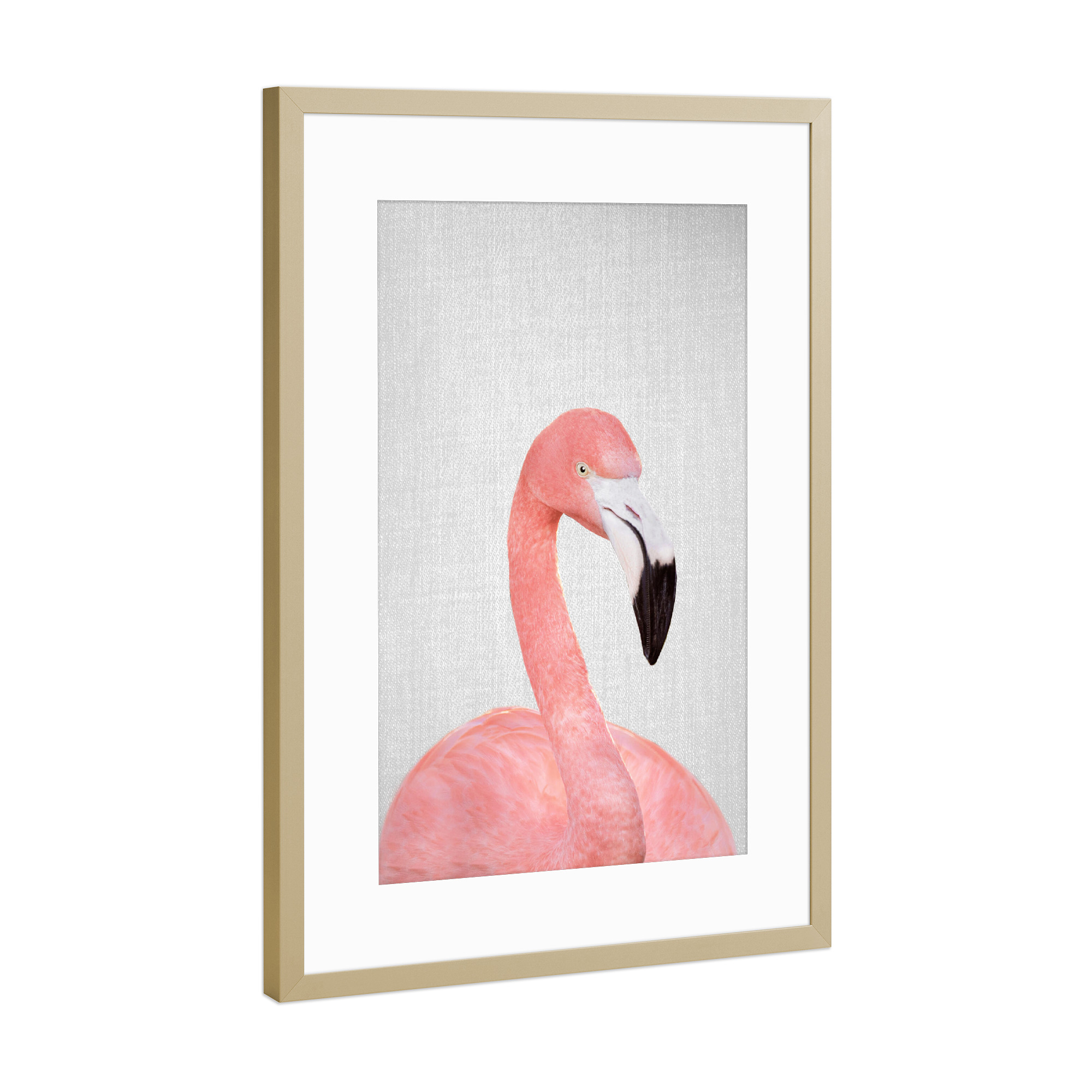 Poster mit Rahmen Gold "Flamingo - Colorful" artboxONE - Natur,Für Kinder,Tiere,Liebe