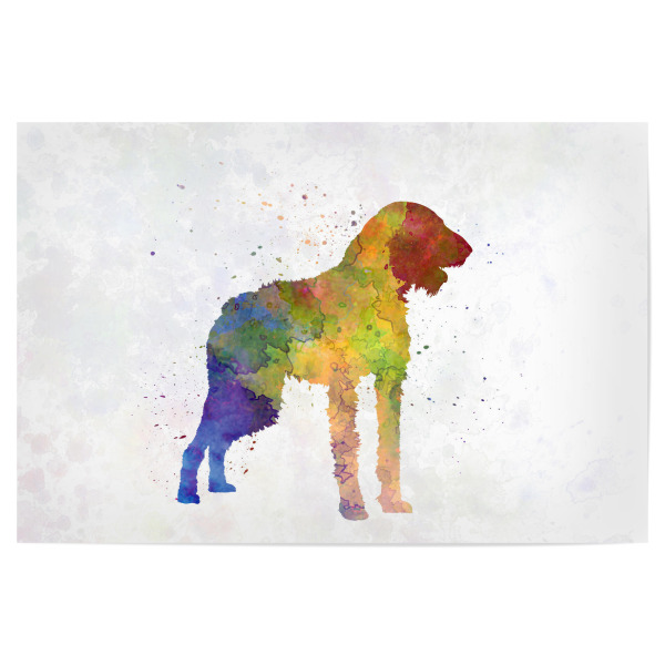 Poster 30x20 cm "German Wirehaired Pointer" artboxONE - Tiere,Abstrakt