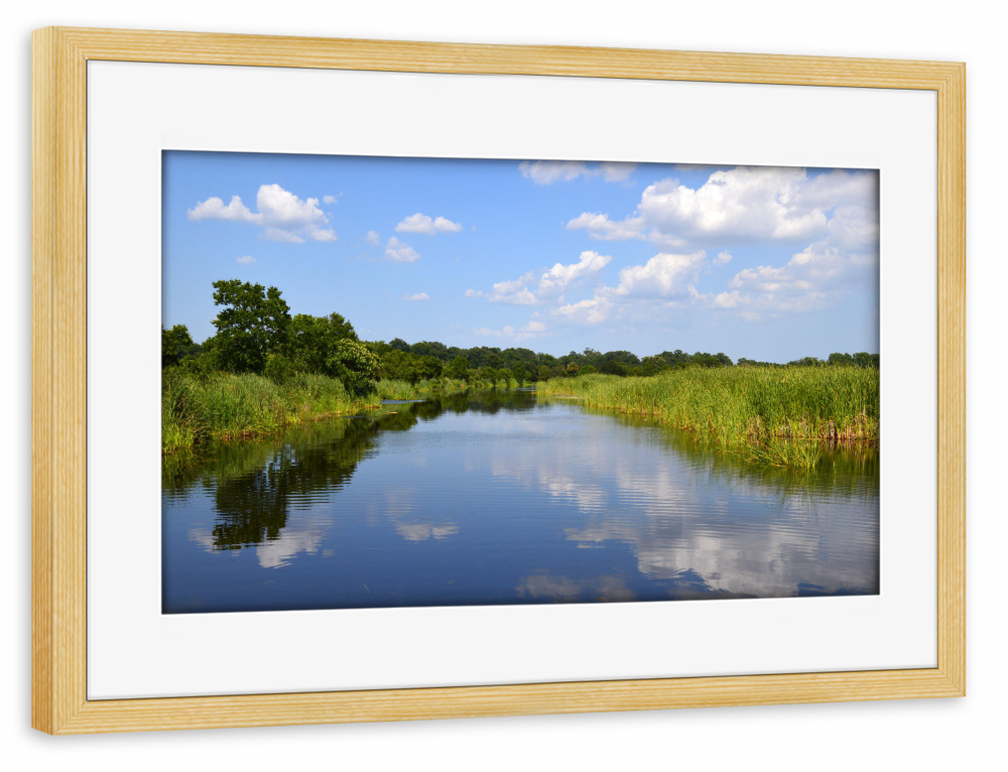 Poster mit Rahmen kiefer "Südstaaten Landschaft in USA" artboxONE - Natur,Reise,Reise / Länder