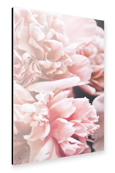 Alu-Dibond "Autumn Floral" 30x20 cm artboxONE