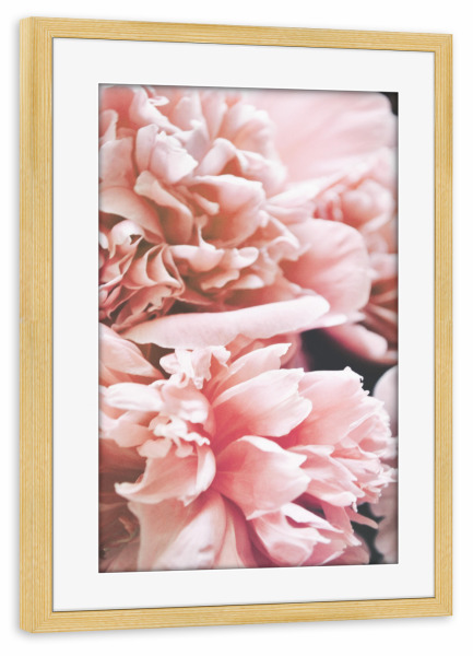 Poster mit Rahmen kiefer "Autumn Floral" artboxONE - Floral,Liebe,Für Mama - Peony,Peonies,Rose,Blumen,Flowers,Floral,Natur,Nature,Closeup,Nahaufnahme
