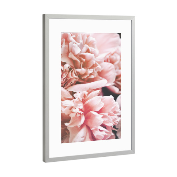 Poster mit Rahmen Silber "Autumn Floral" artboxONE - Floral,Liebe,Für Mama - Peony,Peonies,Rose,Blumen,Flowers,Floral,Natur,Nature,Closeup,Nahaufnahme