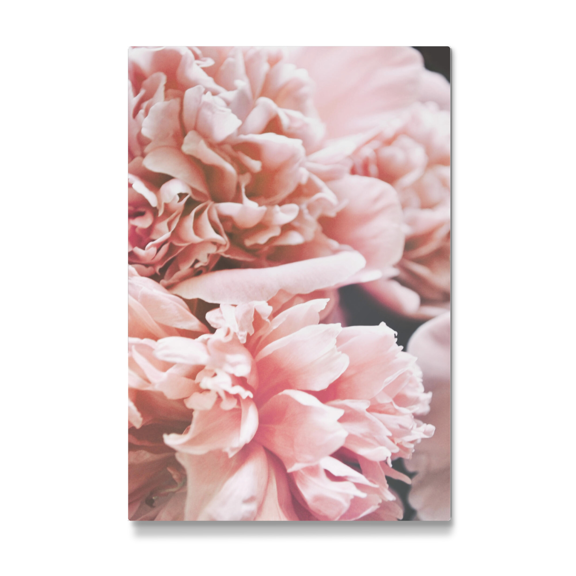 Galerie-Print "Autumn Floral" 75x50 cm artboxONE
