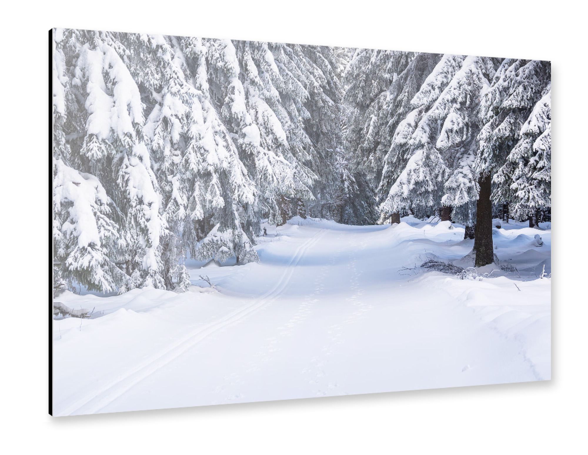 Alu-Dibond "Loipe, Schnee und Bäume" 30x20 cm artboxONE