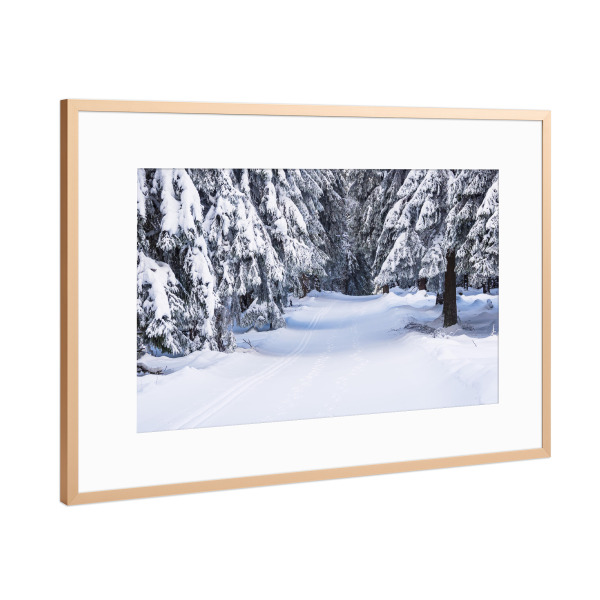 Poster mit Rahmen Kupfer "Loipe, Schnee und Bäume" artboxONE - Natur,Reise