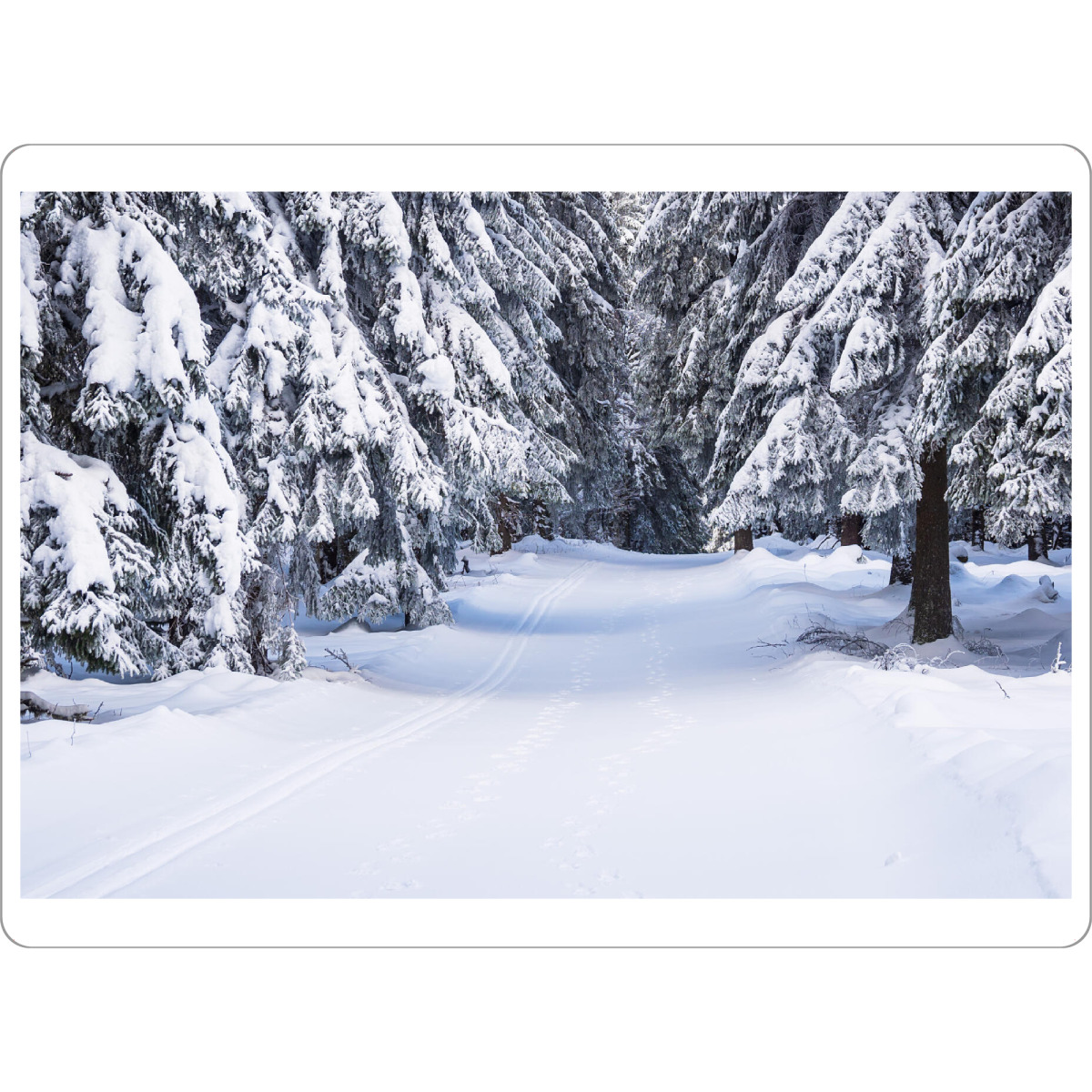 Tischset "Loipe, Schnee und Bäume" artboxONE - Natur,Reise