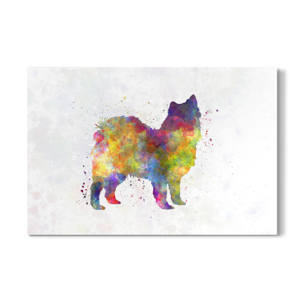 Galerie-Print "Swedish Lapphund in watercolor" 30x20 cm artboxONE