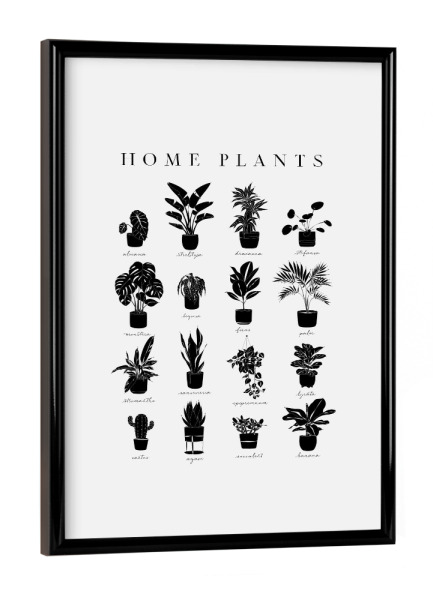 Poster mit schwarzem Rahmen "Linear home plants grey" artboxONE - Natur,Streetart
