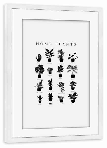 Poster mit Rahmen weiß "Linear home plants grey" artboxONE - Natur,Streetart